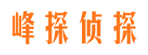 游仙侦探